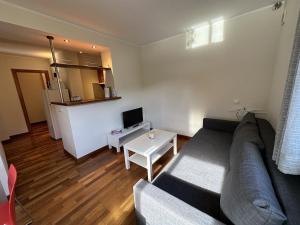 2022-7 NARCIS 2.5 Appartement  Ransol